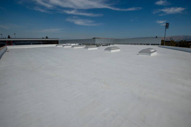 Trusted Lesslie, SC Roofing Experts