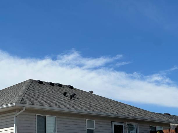 Fast & Reliable Emergency Roof Repairs in Lesslie, SC